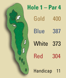 Hole1