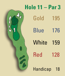 Hole 11