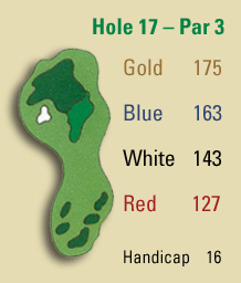 Hole 17