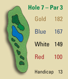 Hole 7